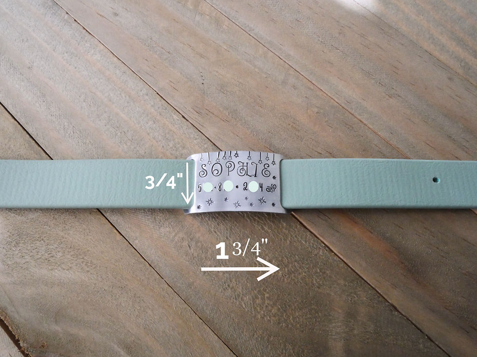 Thumbnail: star themed dog collar slide