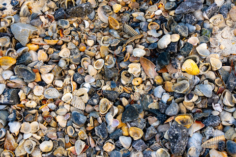 Lake, Rivers, and Oceans