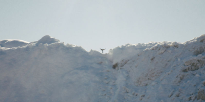A lone figure stands atop a snow-covered mountain peak._edited.jpg