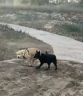 photo1675430587 (2).jpeg