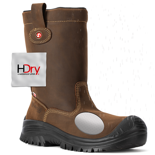 Montana-HDry-2.png