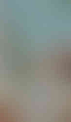 Windows being cleaned in Minnesota as part of "The Works" package at Glass House Window Cleaning.