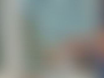 Professional Window Cleaning on a Minnesota Home