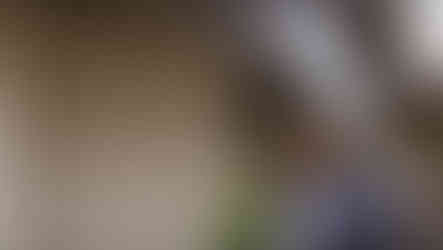 Glass House Window Cleaning & Seasonal Services performing a House Washing service in Minnesota