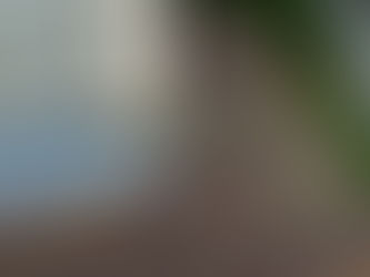 Minnesota roof with algae.