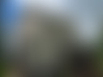 House with severe algae growth on the siding.