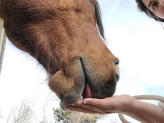 20220103_151646.jpg