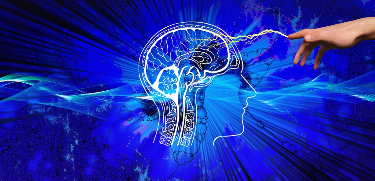 Servicio Developer 6