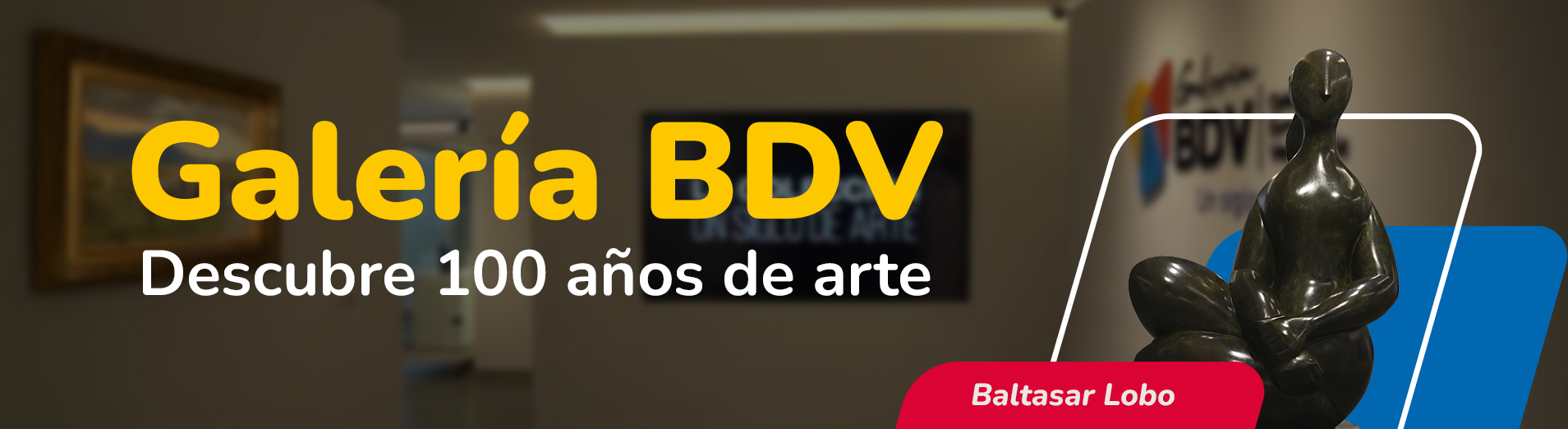 Banner BDVApp