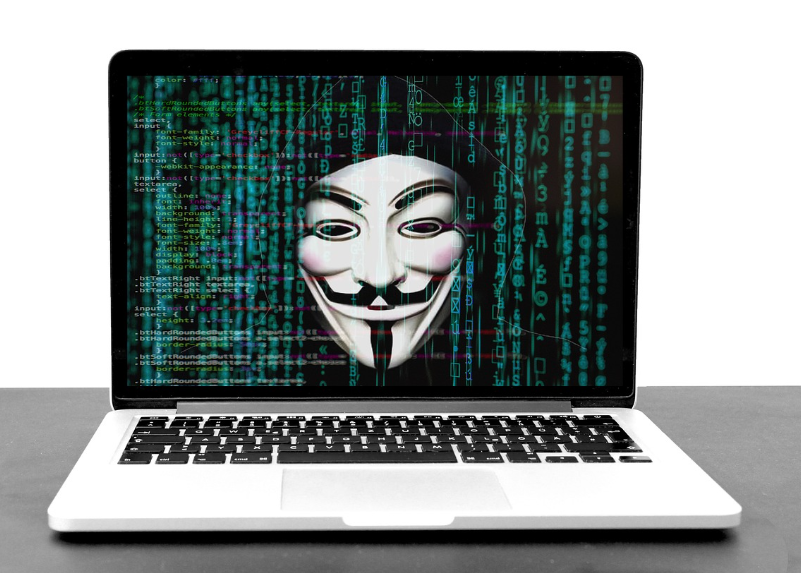 Servicio Developer 5