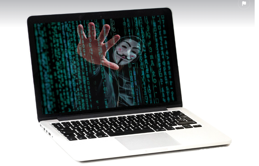 Servicio Developer 3