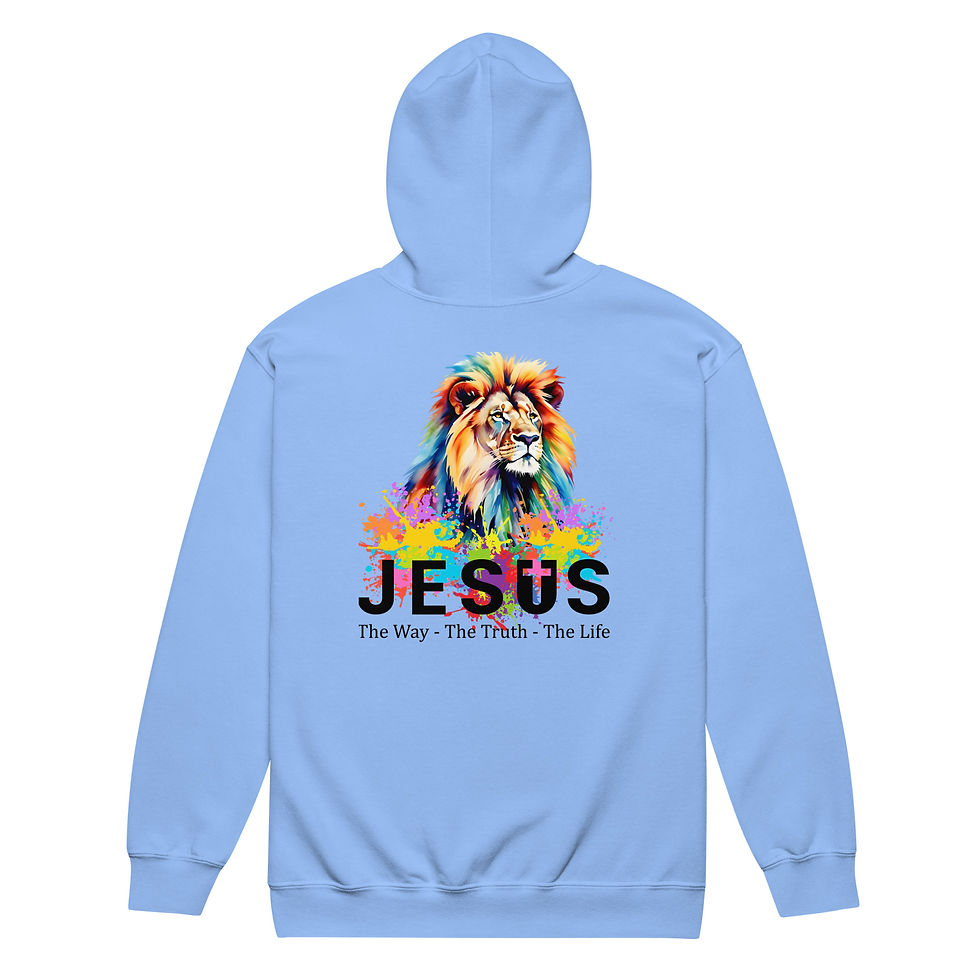 ChristianWalk Jesus back design zip hoodie