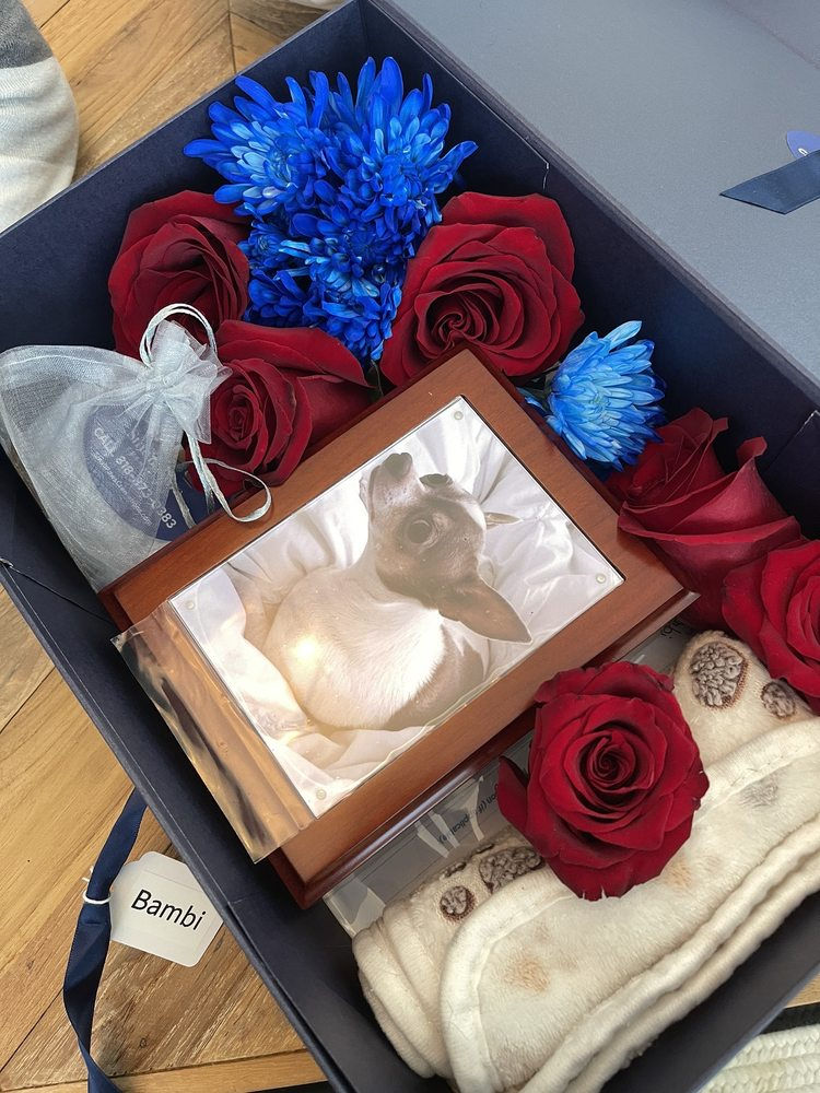 Small Paws Cremations: Services in Santa Clarita