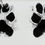Thumbnail: Ink Paw Print