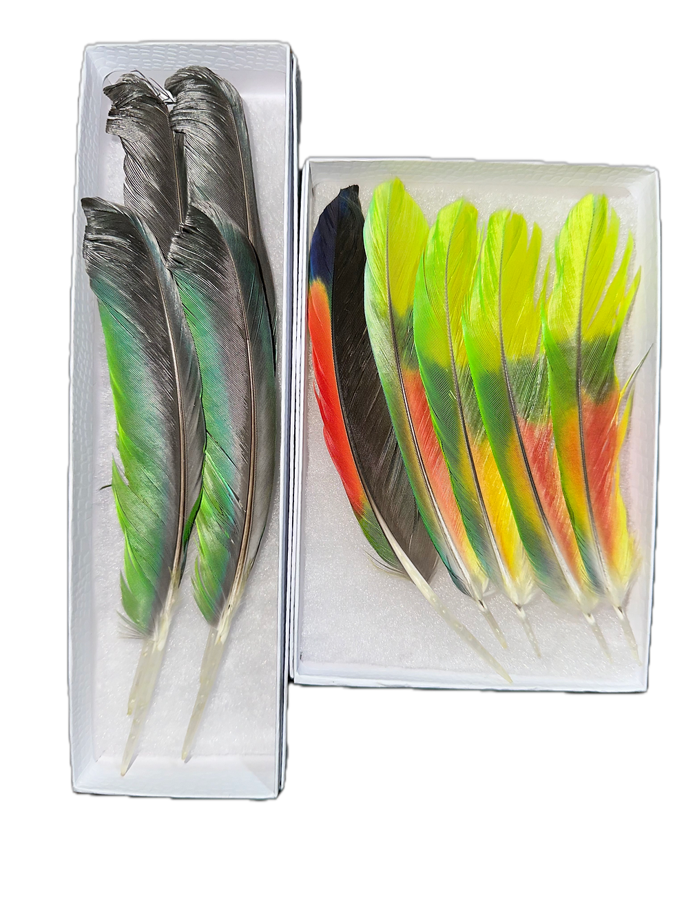 Thumbnail: Fur Clipping or Feather Clipping Bundle