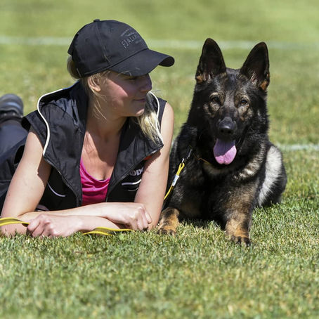 Vinhan juoksut on alkaneet!