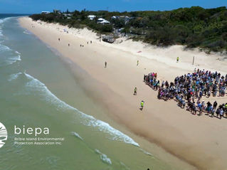 Turtle-shaped crowd on Woorim Beach