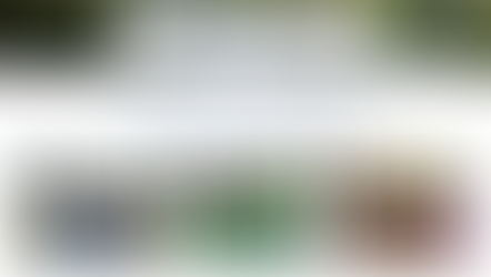 New Year's Resolutions