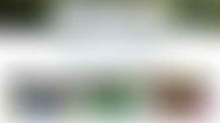 New Year's Resolutions