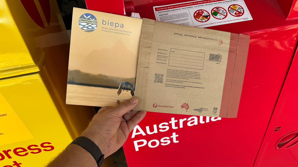 Thumbnail: BIEPA Calendar 2026