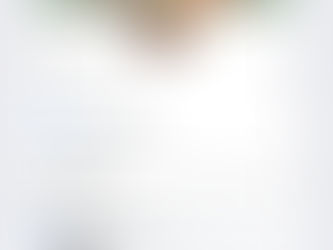 Un peu comme Michel Barnier qui se fait passer pour le vainqueur des élections, cette page se fait passer pour la mienne