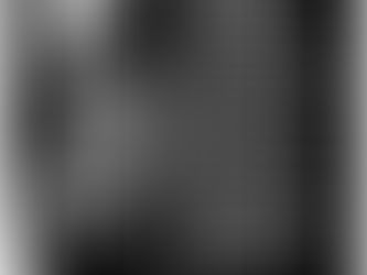 Quelques dates et lieux de concerts en 2024