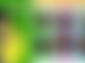 Parmi les joies qui s’annoncent en 2024, je ferai la première partie de François Morel le 20 juillet