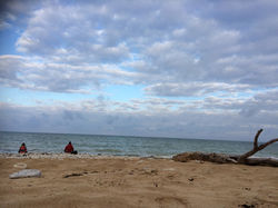 Ile de Ré