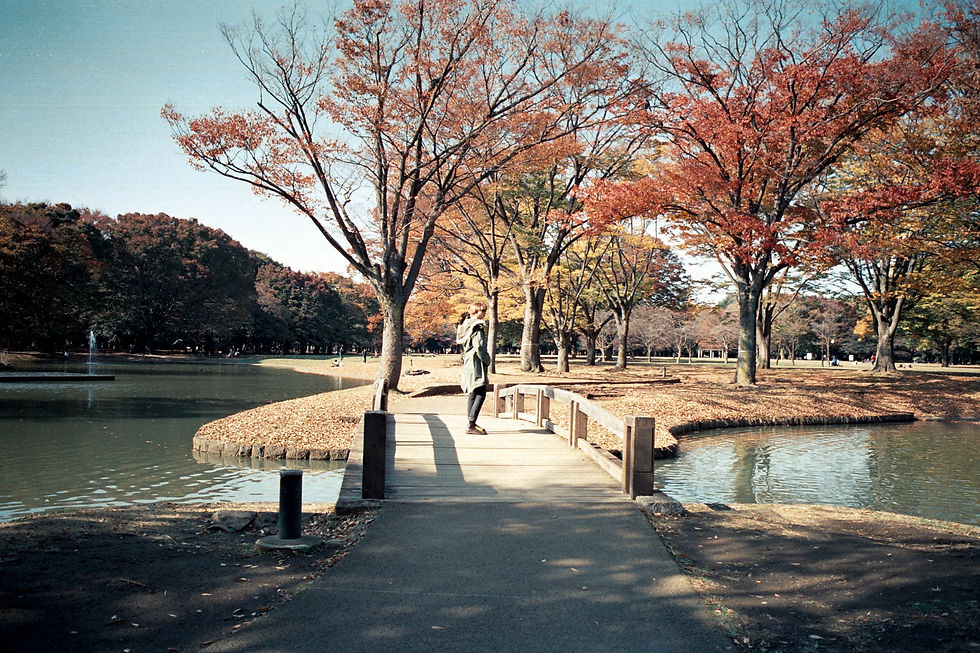 Yoyogi Park, Tokyo