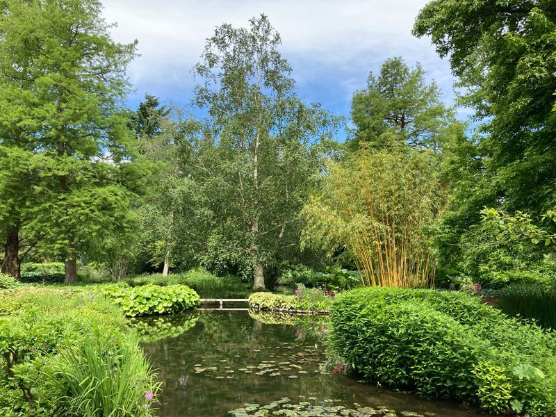 A lake in the water gardens