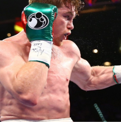 floyd-mayweather-saul-alvarez-canelo-alv