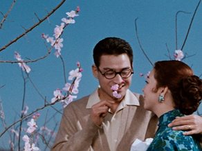 Eclipse Series 48: Kinuyo Tanaka Directs: Blu-ray Review