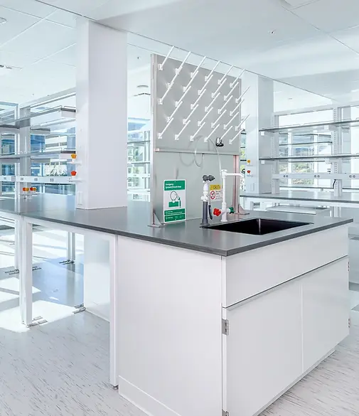 Wesinco 06 (cropped) (1).jpg.webp