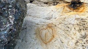 Weekly Wrap-Up — Week 4