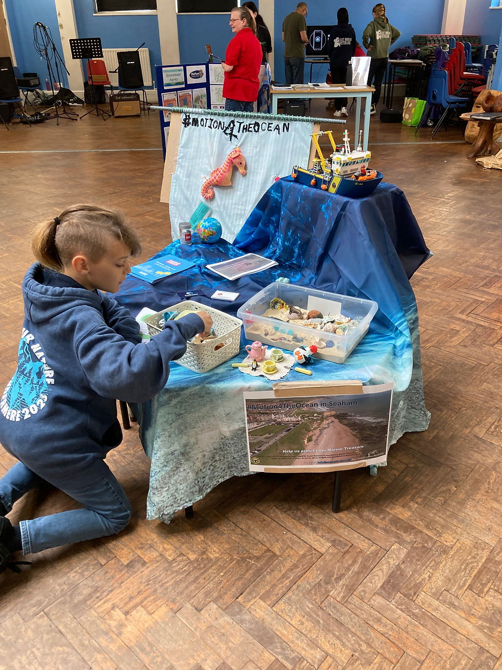 Stall @ Green Amble Community Fair
