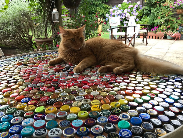 resin bottle top table with cat supervising