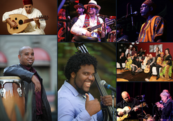 Collgae of the band_live gig