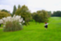IMG_4226.jpeg
