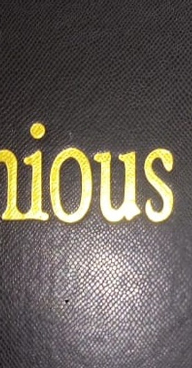 Harmonious Luxury.jpeg