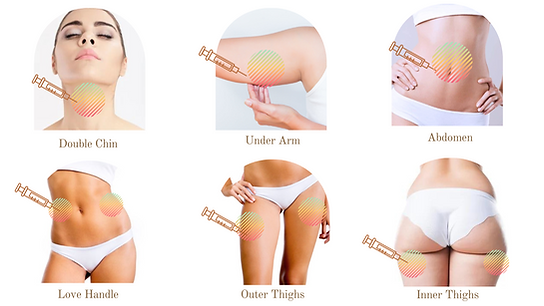 Untitled design (1).png