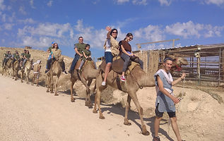 Cameltour.jpg