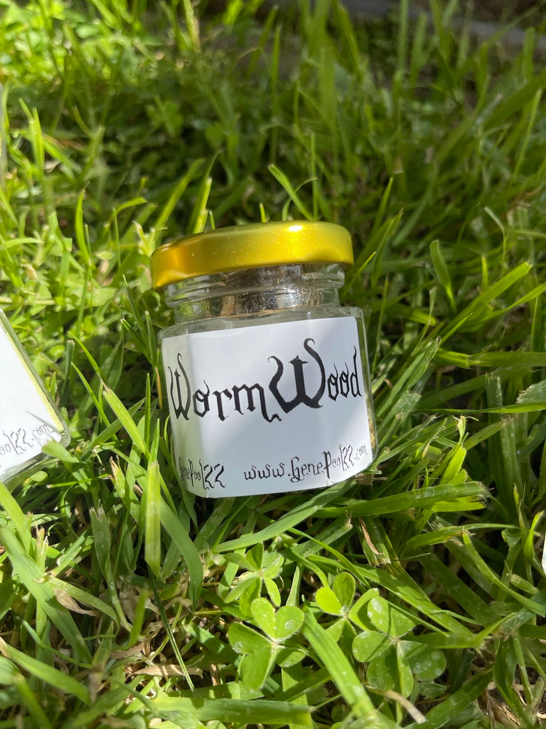 Wormwood