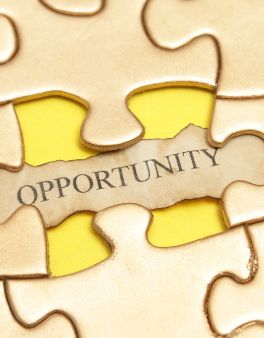 Turning Challenge Into Opportunity.png
