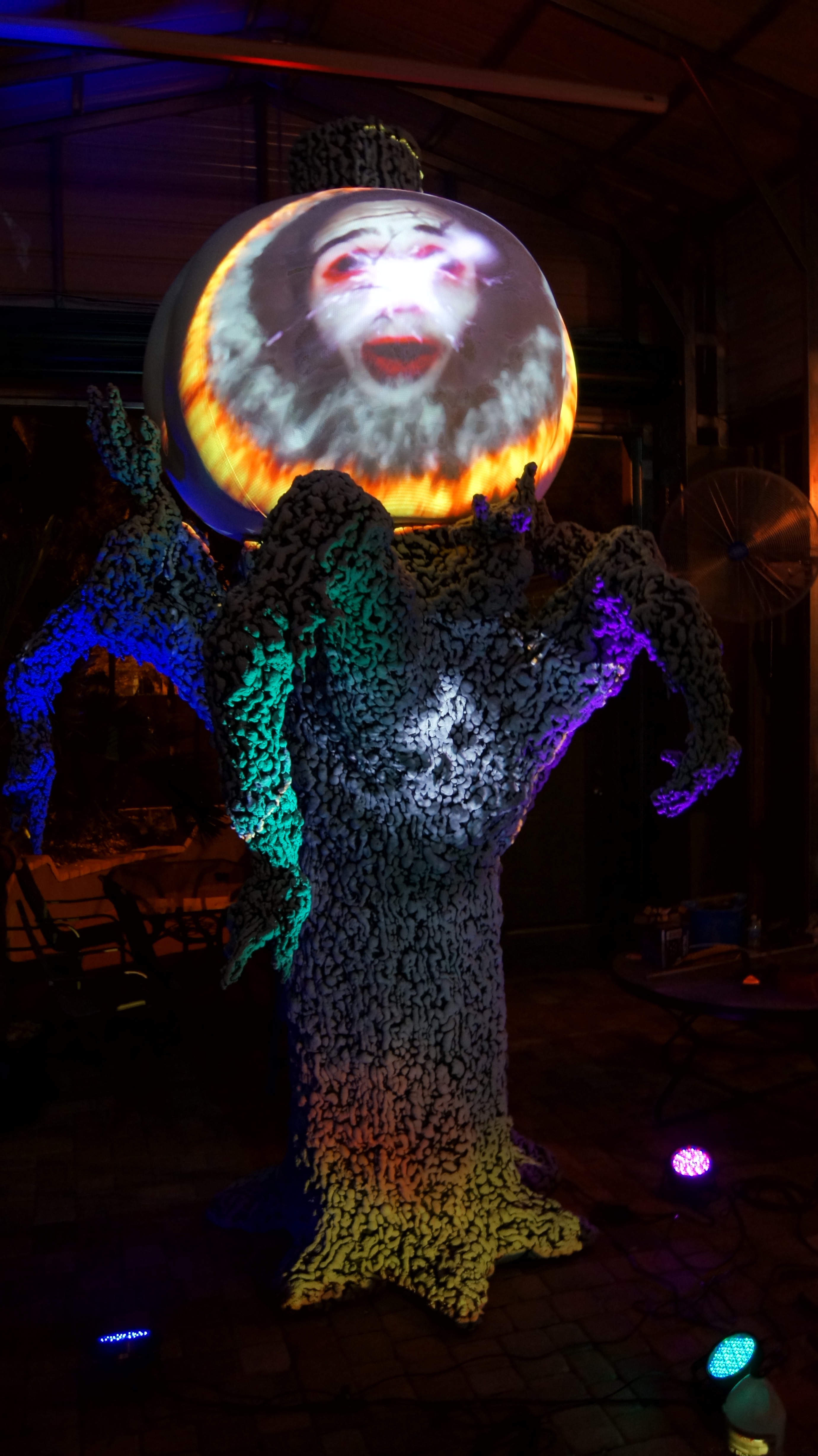 Zoo Hallow Tree