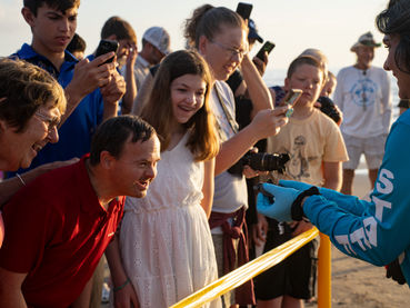 Unleashing Unity: How Communities Help Save Sea Turtles
