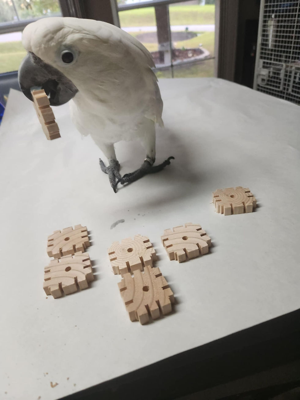 ree