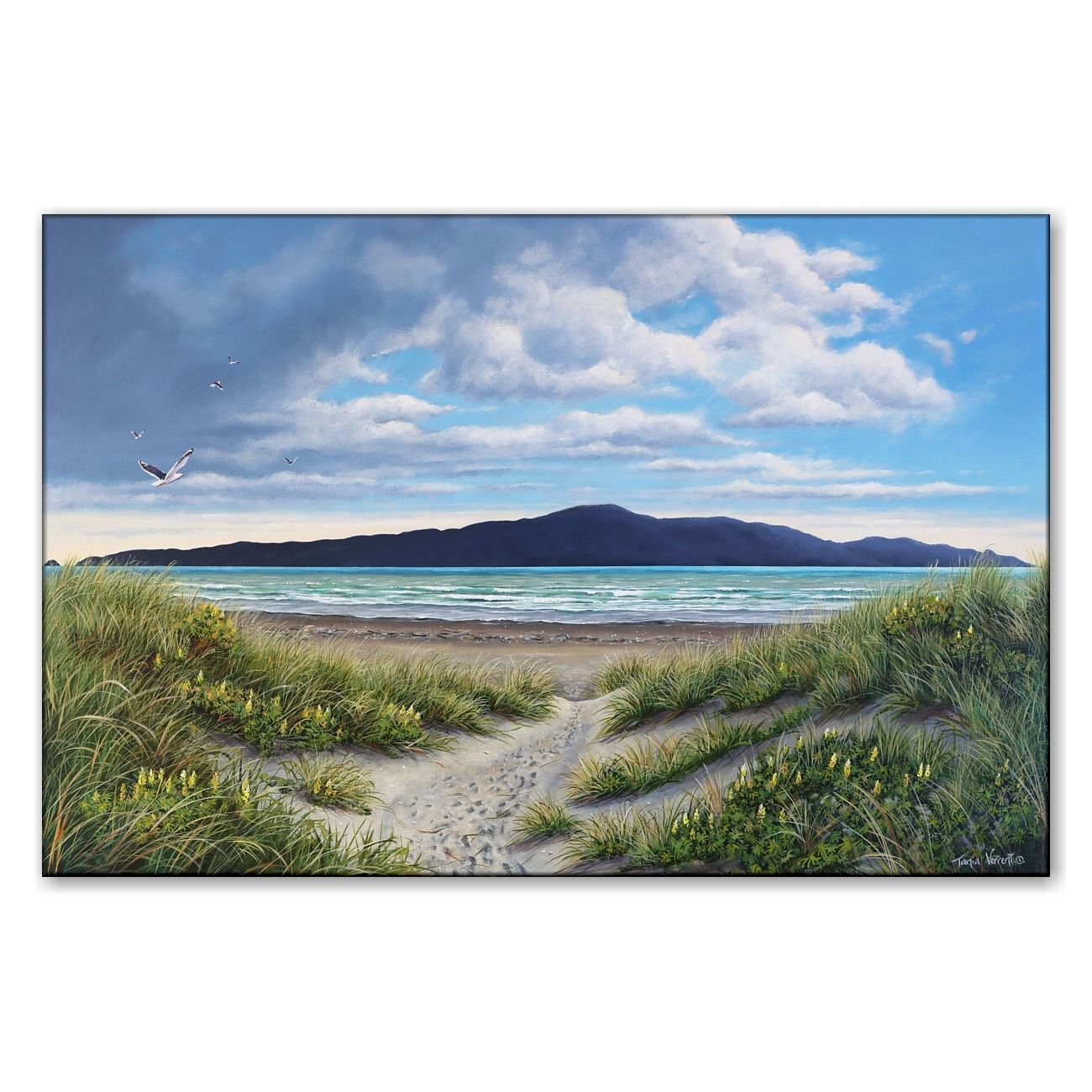 "Waikanae Pathway" # 311