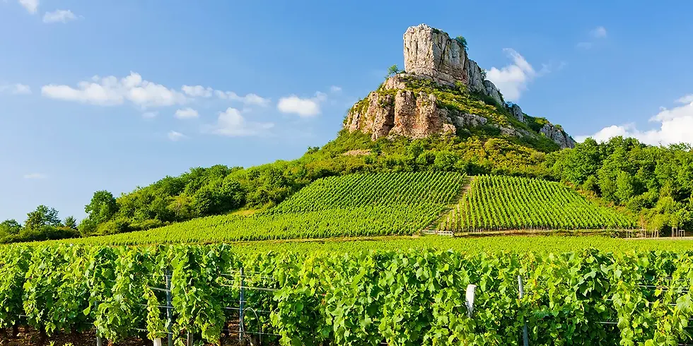 de roche solutré, gelegen in Pouilly-Fuissé, Bourgogne
