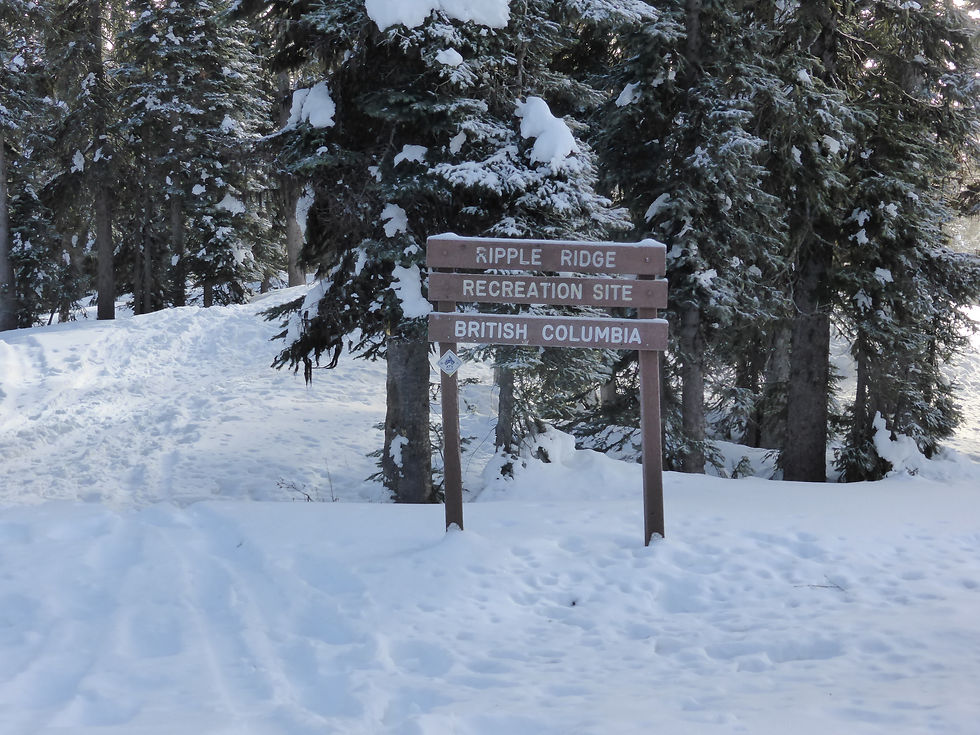 Ripple Ridge Rec Site