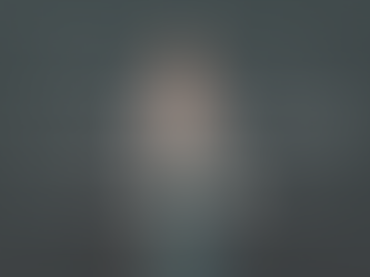 Obstinadamente obstinados